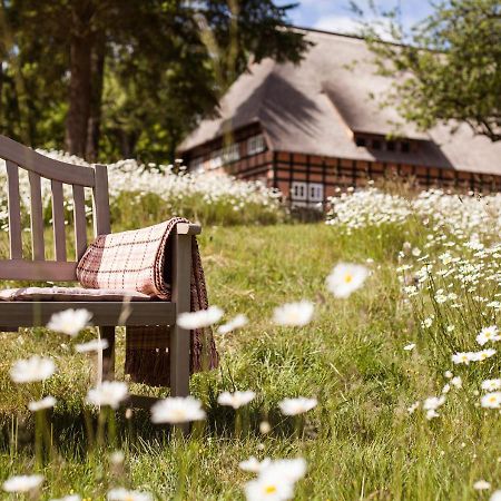 Park Am See X Nattika Ayurveda, Hotel Health Spirit Penzlin Buitenkant foto