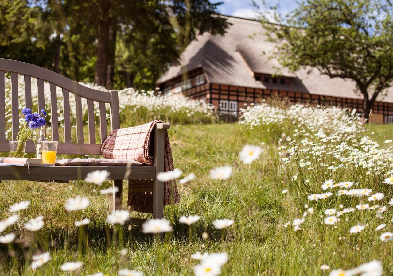 Park Am See X Nattika Ayurveda, Hotel Health Spirit Penzlin Buitenkant foto