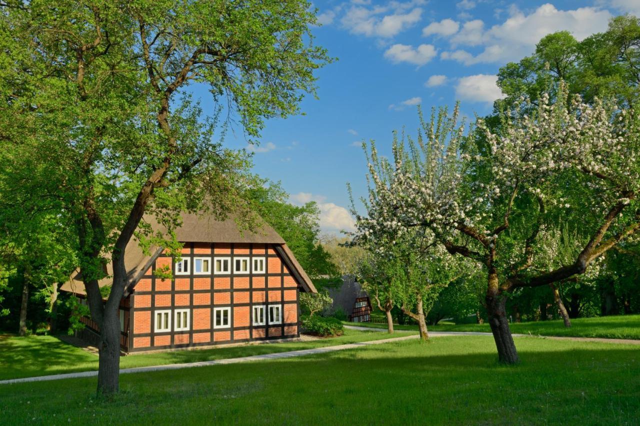 Park Am See X Nattika Ayurveda, Hotel Health Spirit Penzlin Buitenkant foto