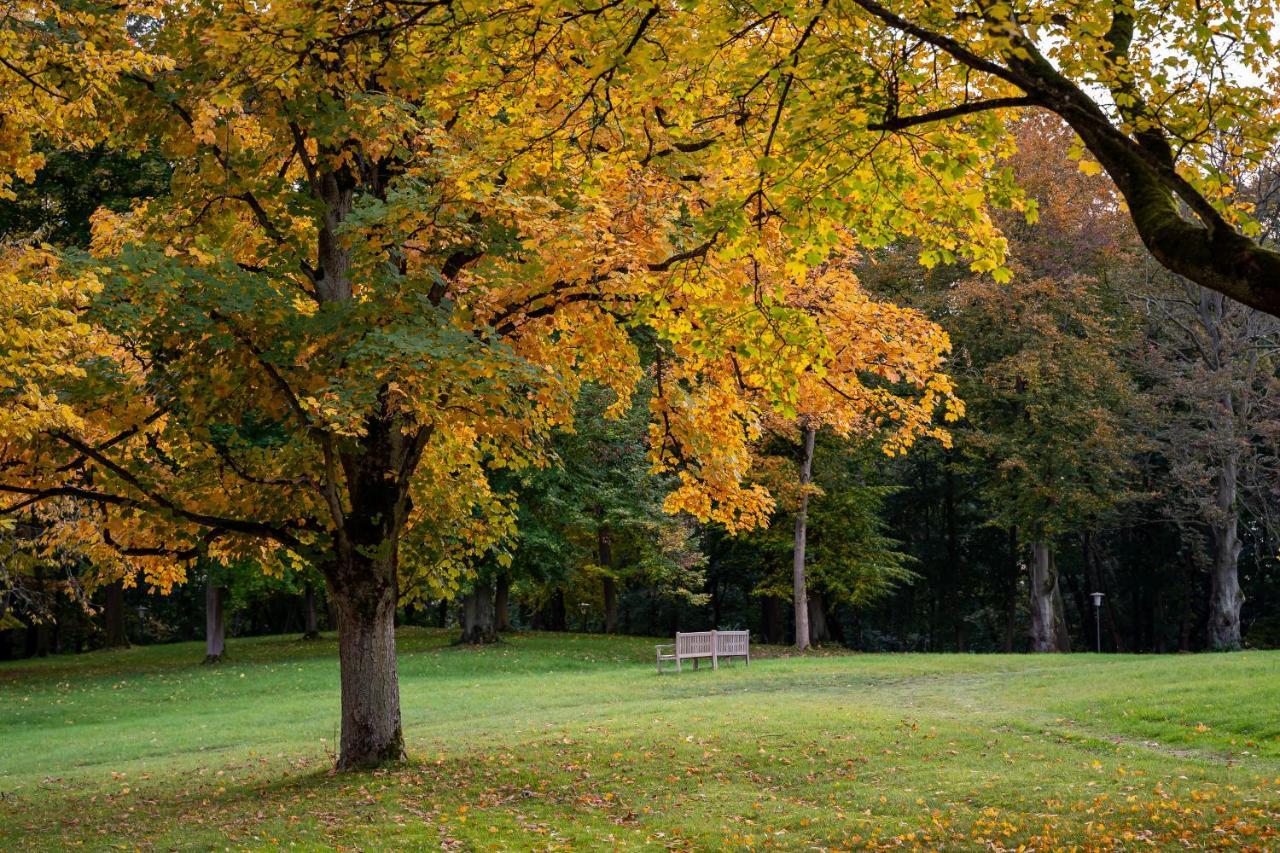 Park Am See X Nattika Ayurveda, Hotel Health Spirit Penzlin Buitenkant foto